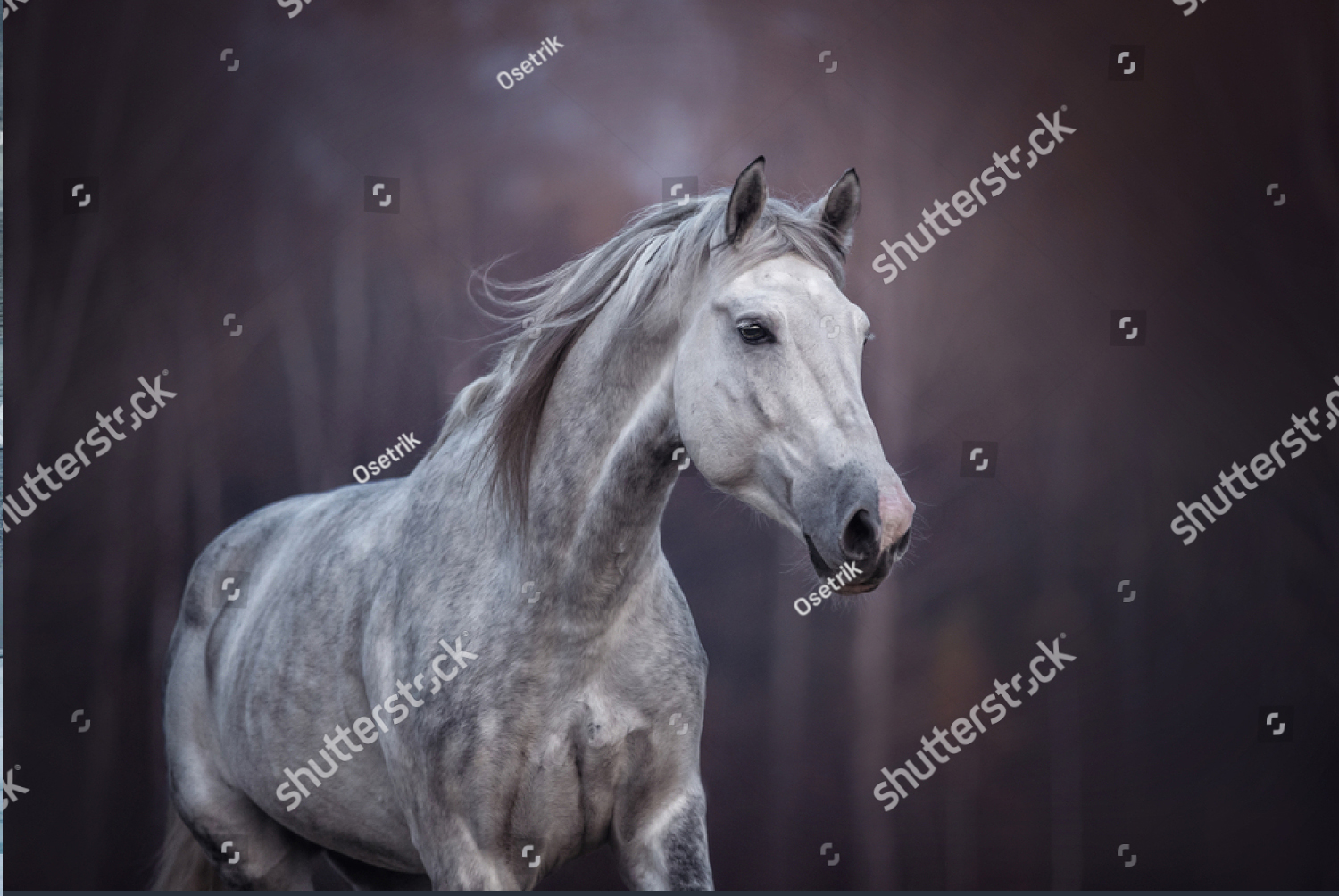 1565518462