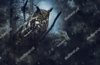 1026281587